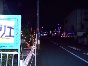 DSCN1161